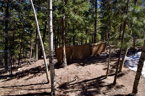 539 S Random Rd, Bailey, CO 80421 photo 28