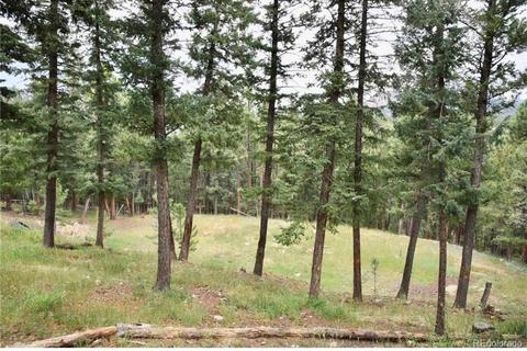 539 S Random Rd, Bailey, CO 80421 photo 29