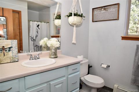 539 S Random Rd, Bailey, CO 80421 photo 11