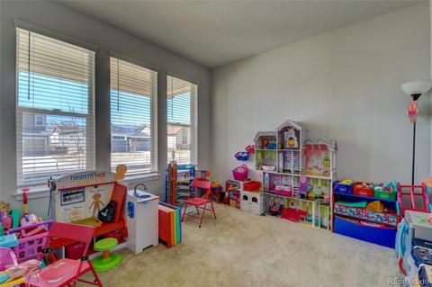 8744 El Diente St, Arvada, CO 80007 photo 9