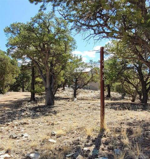 248 Big Bear Rd, Mosca, CO 81146 photo 5