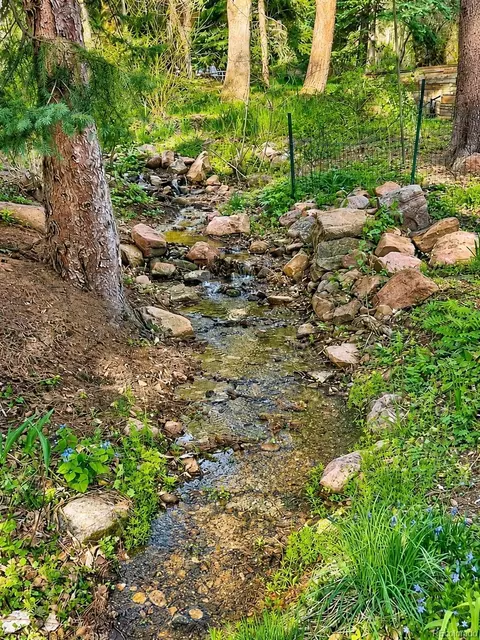 Other - 1333 Mariposa Ave, Boulder, CO 80302 photo 6 of 6
