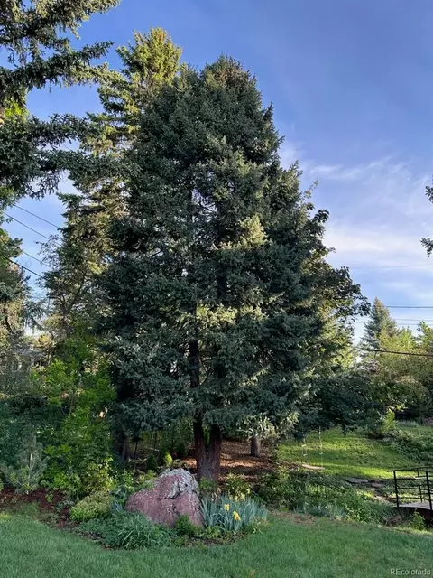 Other - 1333 Mariposa Ave, Boulder, CO 80302 photo 5 of 6