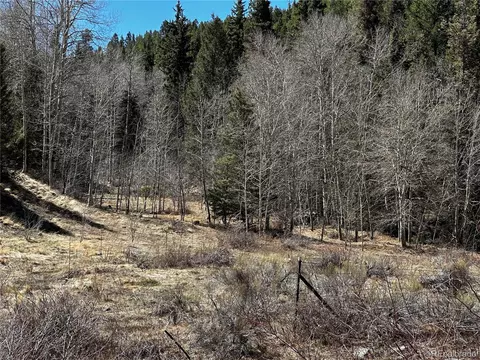 lot223 Hwy 160, Fort Garland, CO 81133