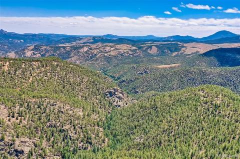 424 Lark Ln, Bailey, CO 80421 photo 6