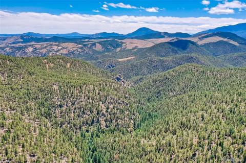 424 Lark Ln, Bailey, CO 80421 photo 5