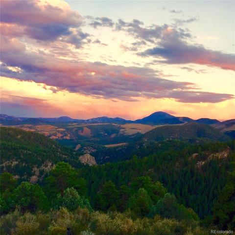 424 Lark Ln, Bailey, CO 80421 photo 25