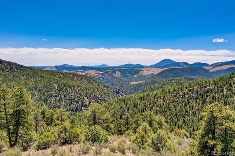 424 Lark Ln, Bailey, CO 80421 photo 3
