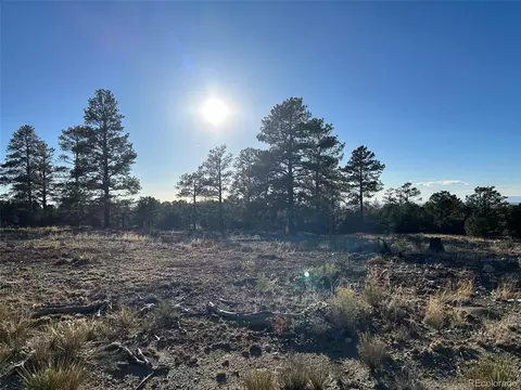 Conejos Place, Mosca, CO 81146 photo 5