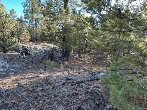 Conejos Place, Mosca, CO 81146 photo 19