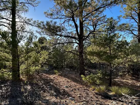 Conejos Place, Mosca, CO 81146 photo 7