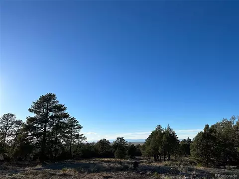 Conejos Place, Mosca, CO 81146 photo 9