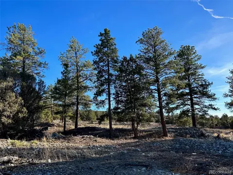 Conejos Place, Mosca, CO 81146 photo 23