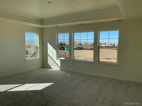 14547 Eudora St, Thornton, CO 80602 photo 22