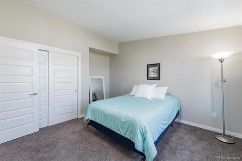 8933 E Northfield Blvd, Denver, CO 80238 photo 32