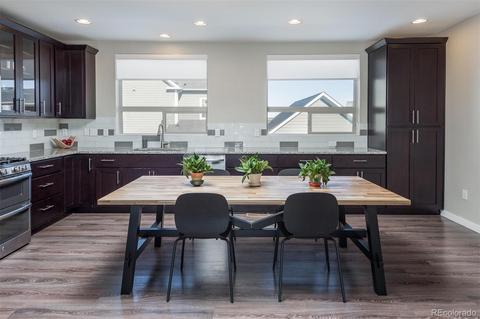 8933 E Northfield Blvd, Denver, CO 80238 photo 13
