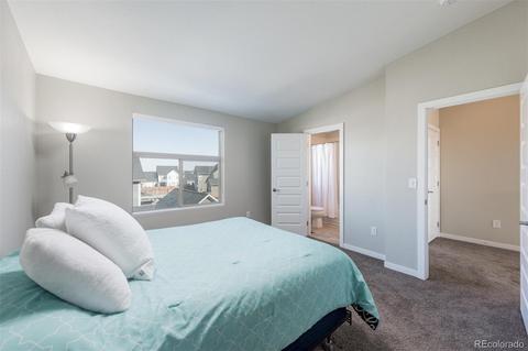 8933 E Northfield Blvd, Denver, CO 80238 photo 30