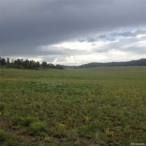 Dog Chief Trail, Hartsel, CO 80449