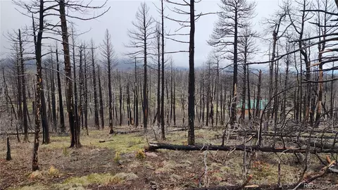 lot1735 Mara Loop, Fort Garland, CO 81133