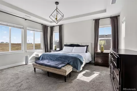 17577 W 87th Ave, Arvada, CO 80007 photo 15