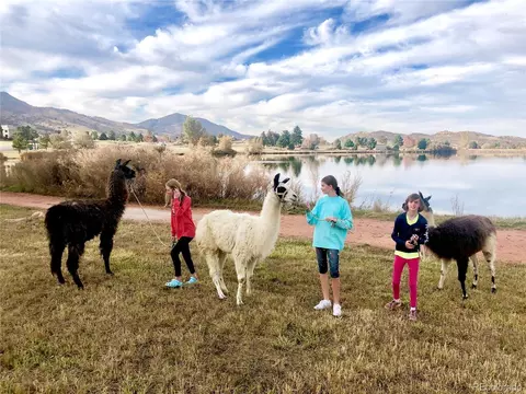 View/Area - 5349 Willow Springs Dr, Morrison, CO 80465 photo 6 of 6