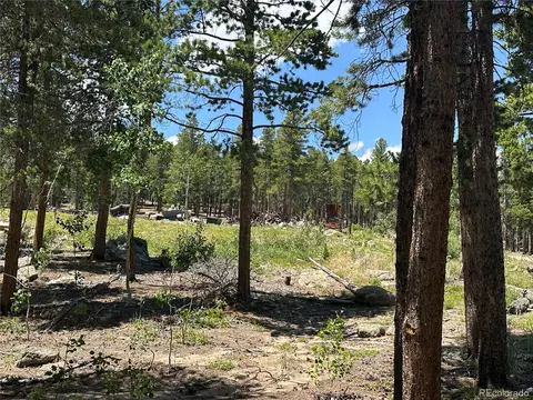 Mountain Meadows, Black Hawk, CO 80422 photo 29