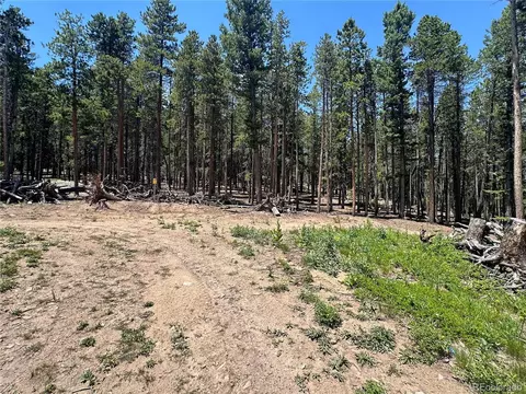 Mountain Meadows, Black Hawk, CO 80422 photo 28