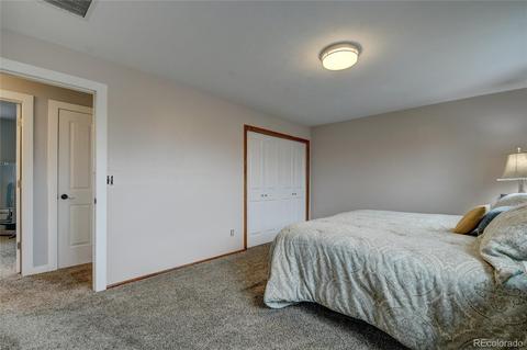 7318 Deframe Ct, Arvada, CO 80005 photo 19