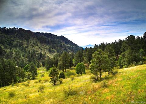 14424 Reserve Rd, Pine, CO 80470 photo 3