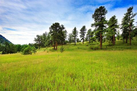14424 Reserve Rd, Pine, CO 80470 photo 1