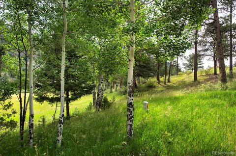 14424 Reserve Rd, Pine, CO 80470 photo 8