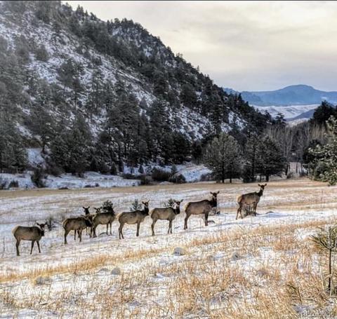 14424 Reserve Rd, Pine, CO 80470 photo 13
