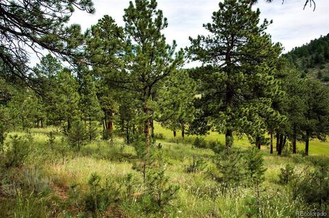 14424 Reserve Rd, Pine, CO 80470 photo 11