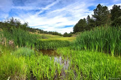 14424 Reserve Rd, Pine, CO 80470 photo 5
