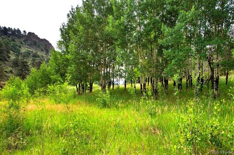 14424 Reserve Rd, Pine, CO 80470 photo 6