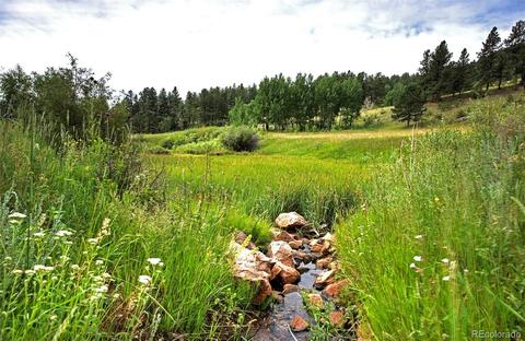 14424 Reserve Rd, Pine, CO 80470 photo 2