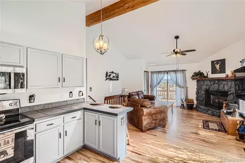 300 N Pine Dr, Bailey, CO 80421 photo 15