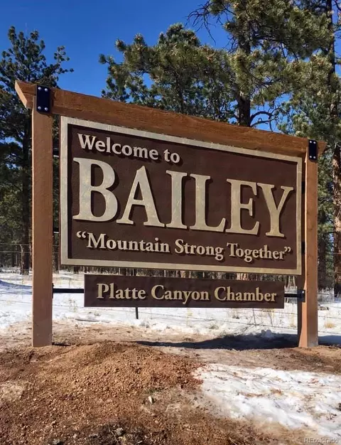 300 N Pine Dr, Bailey, CO 80421