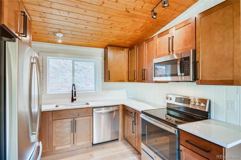 16699 Ouray Rd E, Pine, CO 80470 photo 4