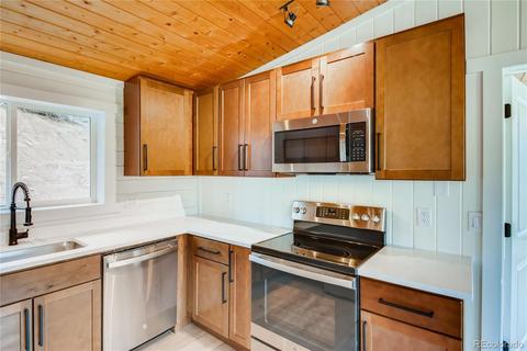 16699 Ouray Rd E, Pine, CO 80470 photo 9