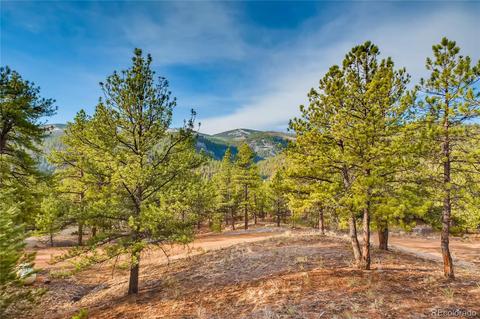 16699 Ouray Rd E, Pine, CO 80470 photo 23
