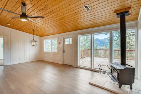 16699 Ouray Rd E, Pine, CO 80470 photo 3