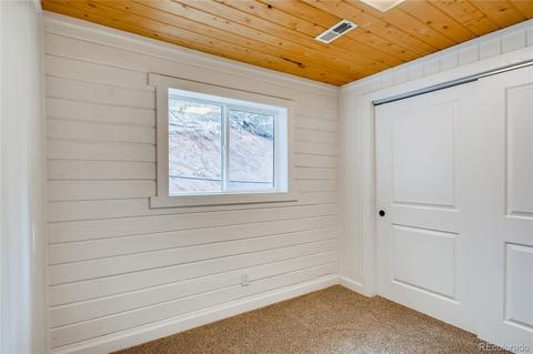 16699 Ouray Rd E, Pine, CO 80470 photo 15