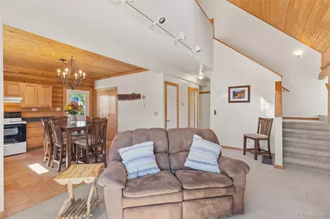 Other - 167 Stellar Jay Way, Fairplay, CO 80440 photo 4 of 11