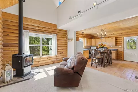 Other - 167 Stellar Jay Way, Fairplay, CO 80440 photo 3 of 11