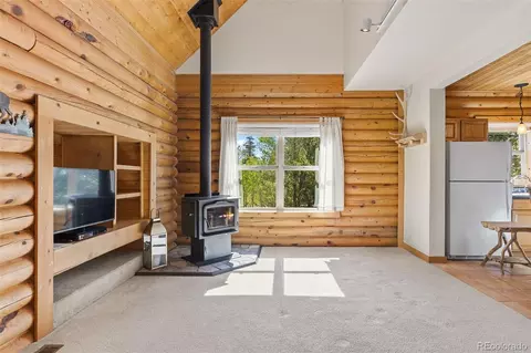 Living - 167 Stellar Jay Way, Fairplay, CO 80440 photo 3 of 3