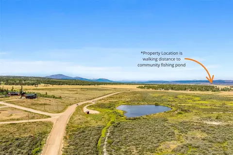 Other - 167 Stellar Jay Way, Fairplay, CO 80440 photo 11 of 11