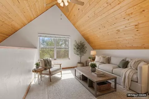Other - 167 Stellar Jay Way, Fairplay, CO 80440 photo 7 of 11