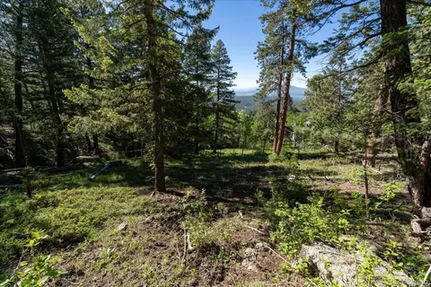 11698 Nichols Way, Conifer, CO 80433