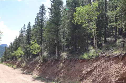 430 Lakeview Rd, Bailey, CO 80421